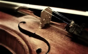 string instruments